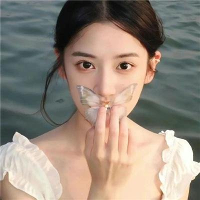 陆小凤传奇之绣花大盗