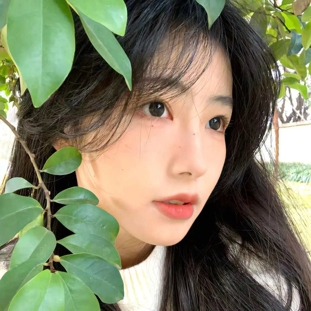 红尘囧探刘小唐